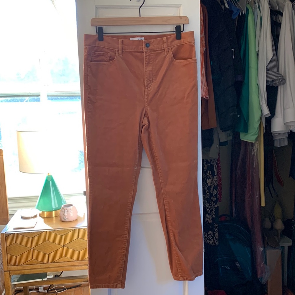 Orange velvet stretch high-waisted pants by Ann Taylor Loft